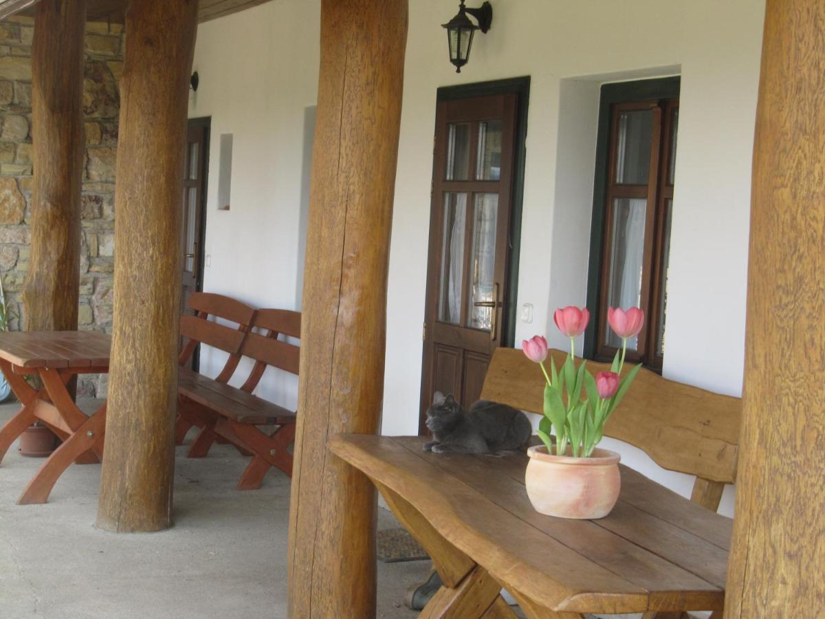 Apartament Takacs Tanya Nemesvámos Zewnętrze zdjęcie